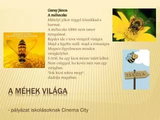 p ly zat iskol soknak cinema city