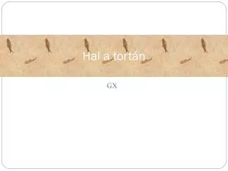hal a tort n