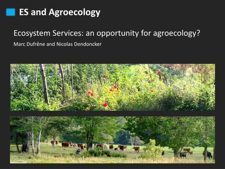 ecosystem services an opportunity for agroecology