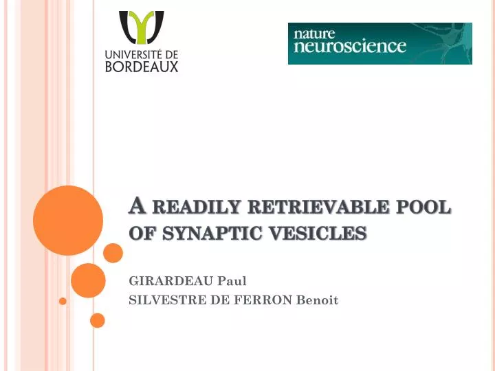a readily retrievable pool of synaptic vesicles