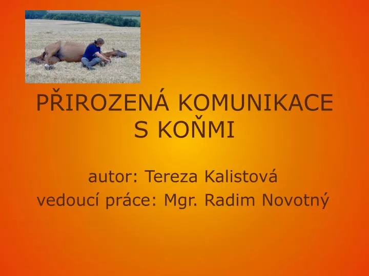 p irozen komunikace s ko mi