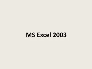 ms excel 2003