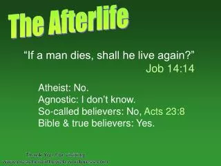 The Afterlife