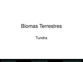 biomas terrestres