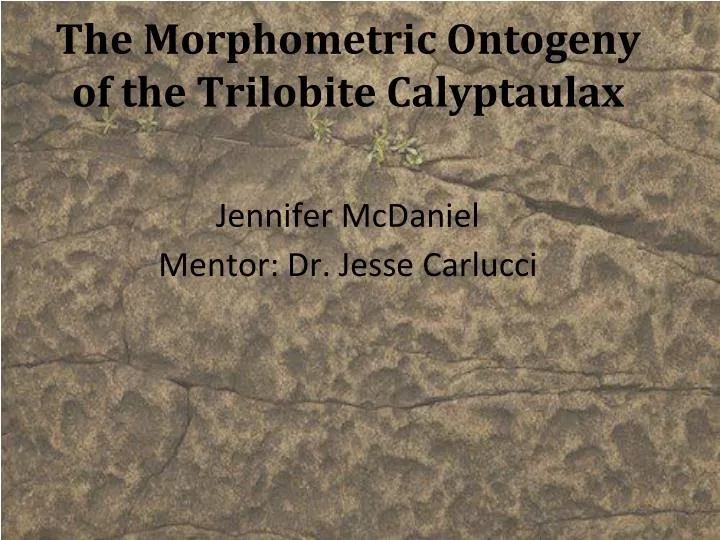 the morphometric ontogeny of the trilobite calyptaulax