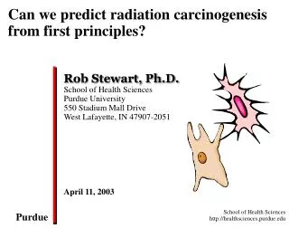 Can we predict radiation carcinogenesis from first principles?