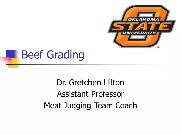 beef grading