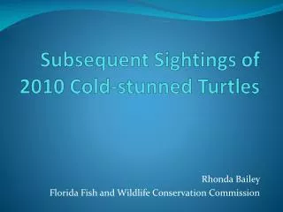 Subsequent Sightings of 2010 Cold-stunned Turtles