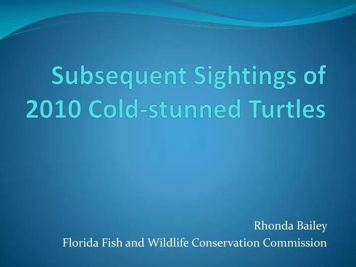 subsequent sightings of 2010 cold stunned turtles