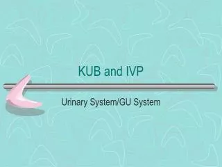 KUB and IVP