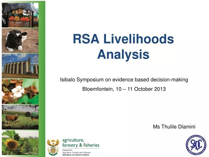 rsa livelihoods analysis
