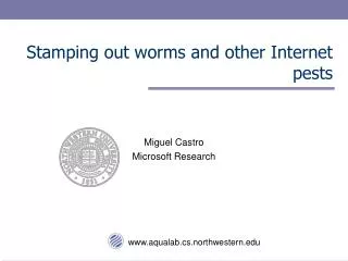 Stamping out worms and other Internet pests