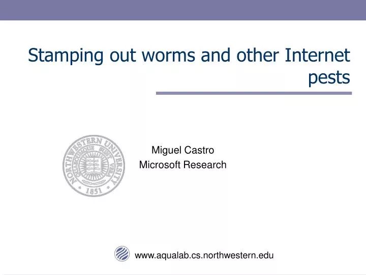 stamping out worms and other internet pests