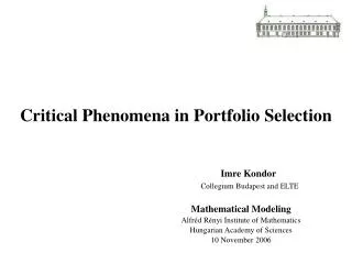 Critical Phenomena in Portfolio Selection