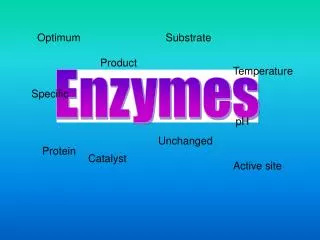 Enzymes