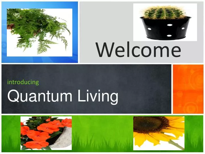 introducing quantum living