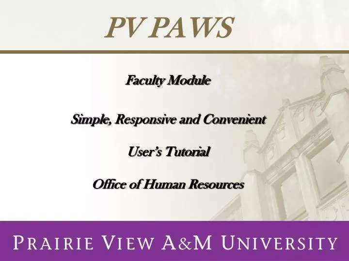 pv paws