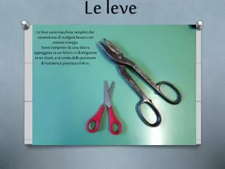 le leve