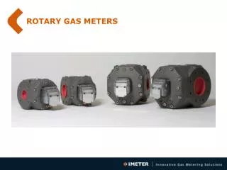 ROTARY GAS METERS