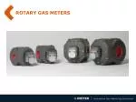 ROTARY GAS METERS