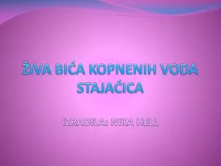 iva bi a kopnenih voda staja ica izradila nika hell