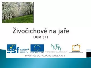 ivo ichov na ja e dum 3 1