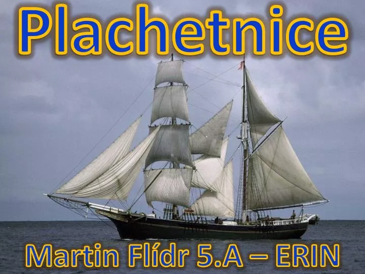 plachetnice