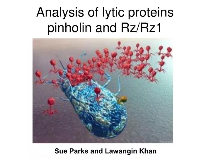 analysis of lytic proteins pinholin and rz rz1