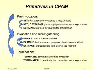 Primitives in CPAM