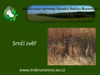 srn zv