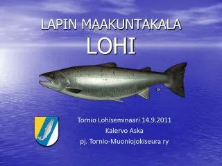 lapin maakuntakala lohi