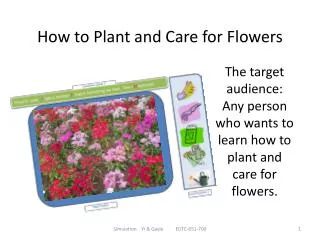 How to Plant and Care for Flowers