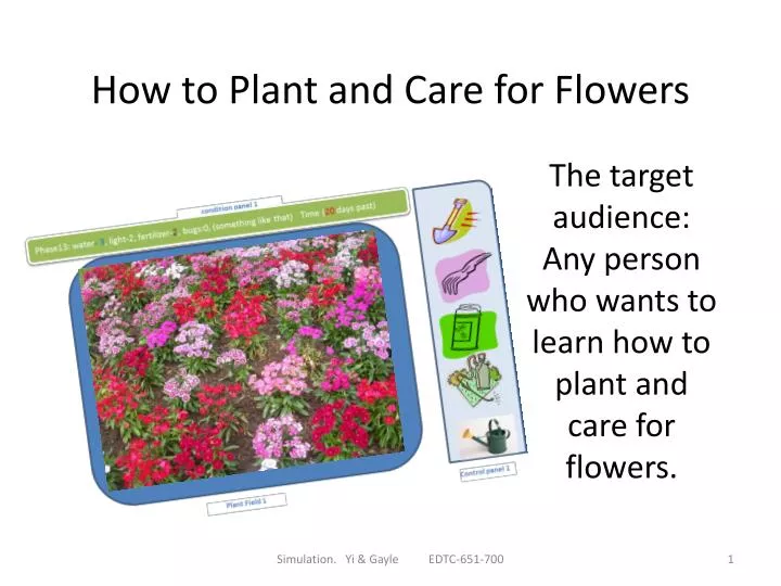 how to plant and care for flowers