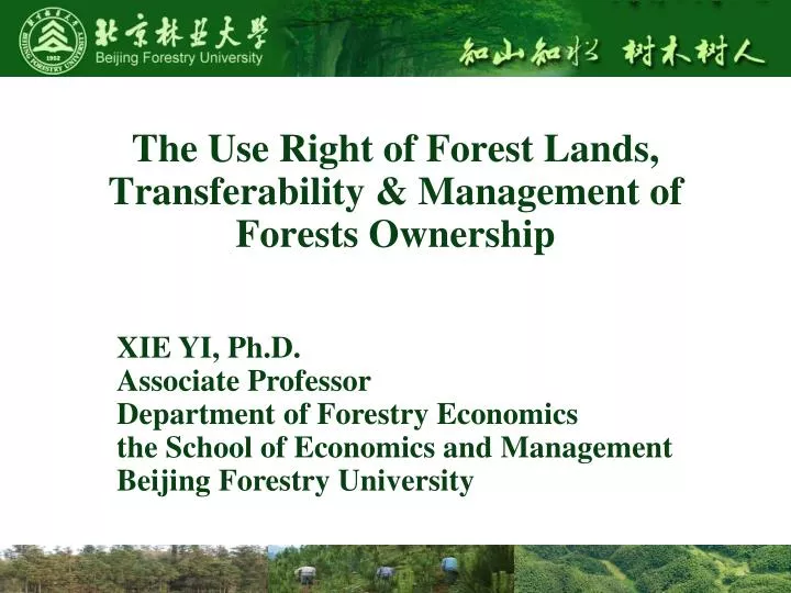 the use right of forest lands transferability management of forests ownership