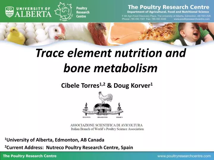 trace element nutrition and bone metabolism