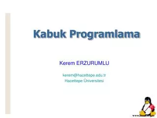 kabuk programlama