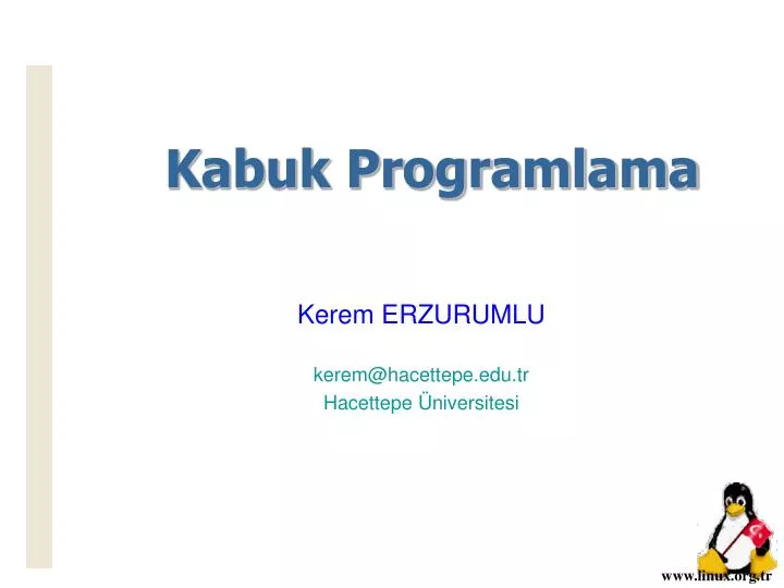 kabuk programlama