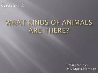 What kinds of animals are there?