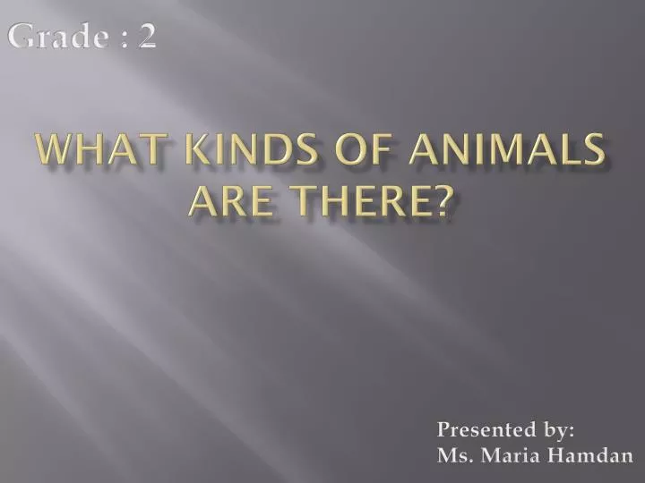 what kinds of animals are there