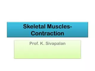 Skeletal Muscles- Contraction