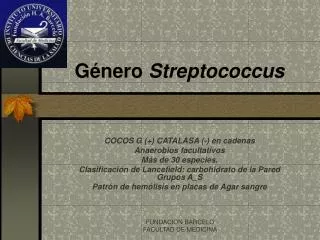 g nero streptococcus