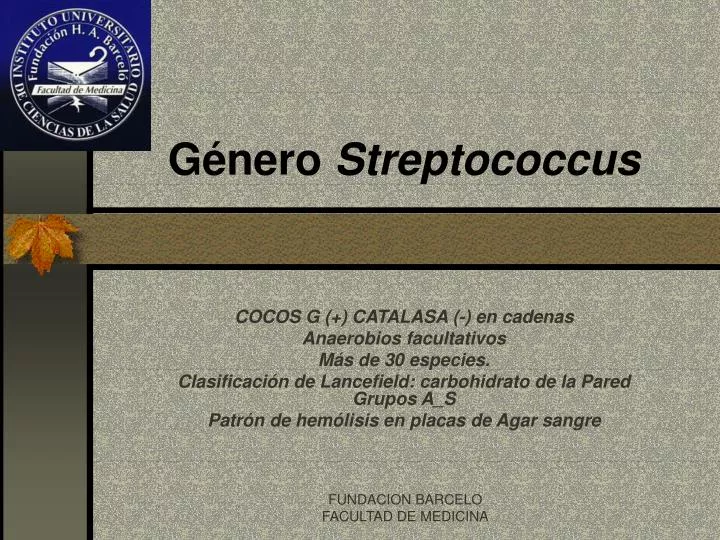 g nero streptococcus