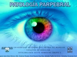 patolog a parpebral