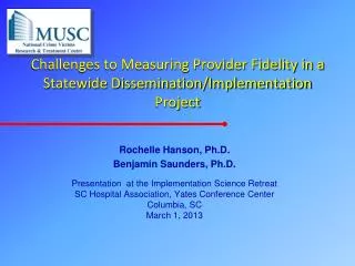 Challenges to Measuring Provider Fidelity in a Statewide Dissemination/Implementation Project