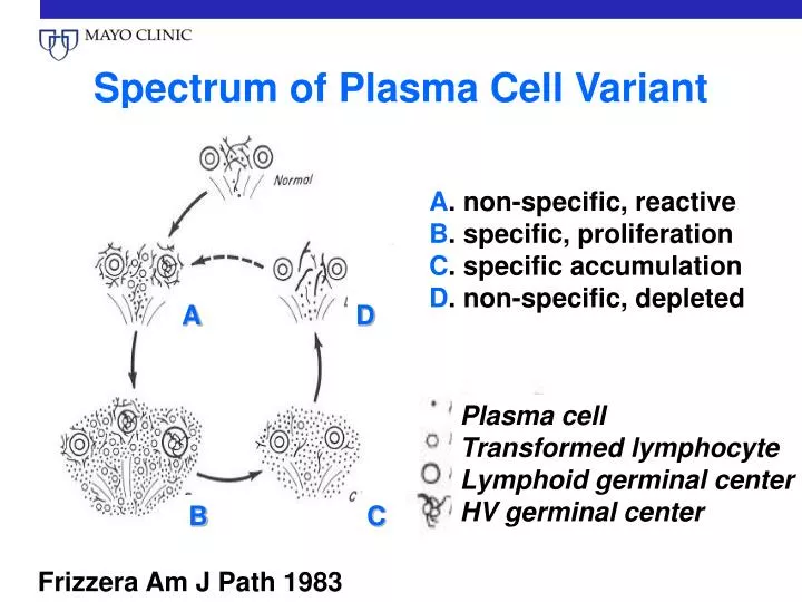 spectrum of plasma cell variant