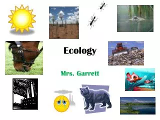 Ecology