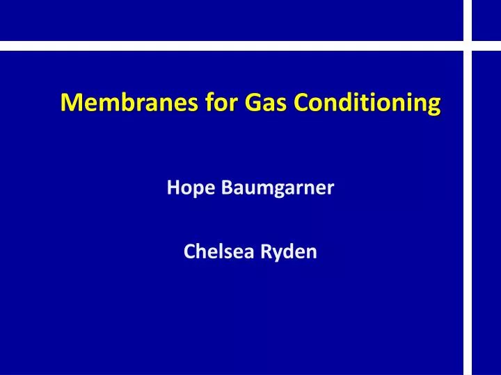membranes for gas conditioning
