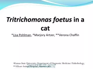 Tritrichomonas foetus in a cat