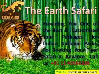 Tiger tour with the earth safari