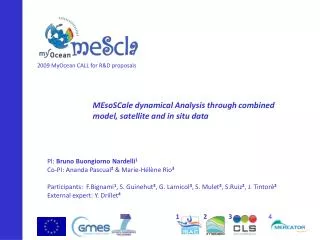 MEsoSCale dynamical Analysis through combined model, satellite and in situ data
